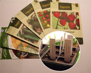 Ensimmäiset kylvöt