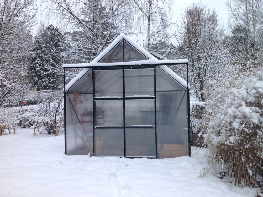 Talvinen kasvihuone lumisella pihalla
