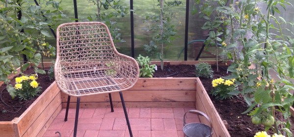 Polyrottinkinen nojatuoli kasvihuoneessa.