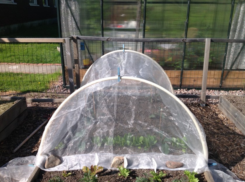 Tunarointia kerrakseen