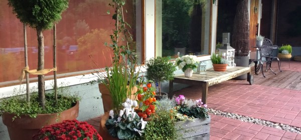 Syyskasveja omakotitalon terassilla.