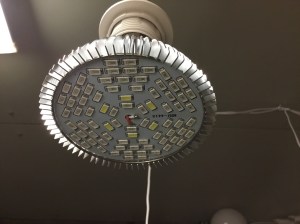 7F19F7C1-9B53-4F1F-8F09-E4EA4F0B3973