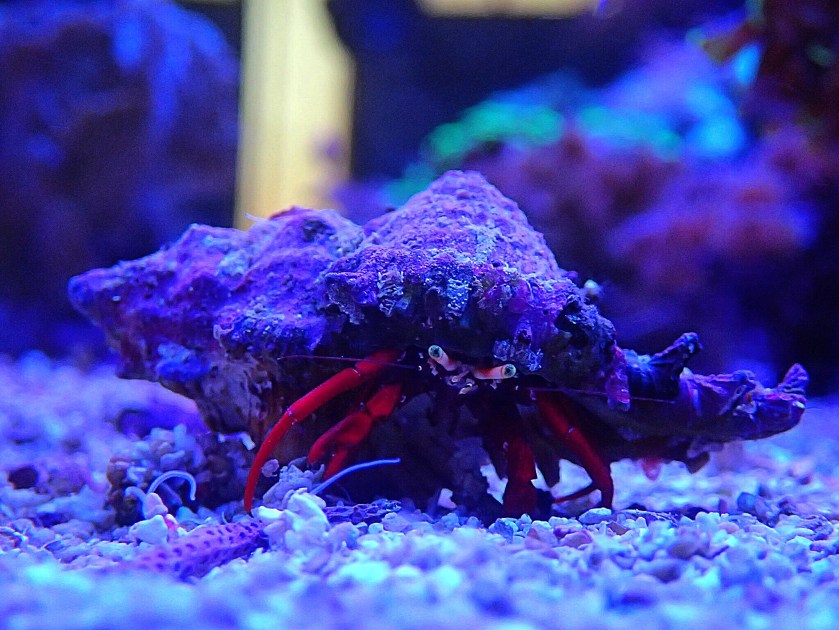 C8251326-C0DF-4B78-86D6-7C371AAE31E3