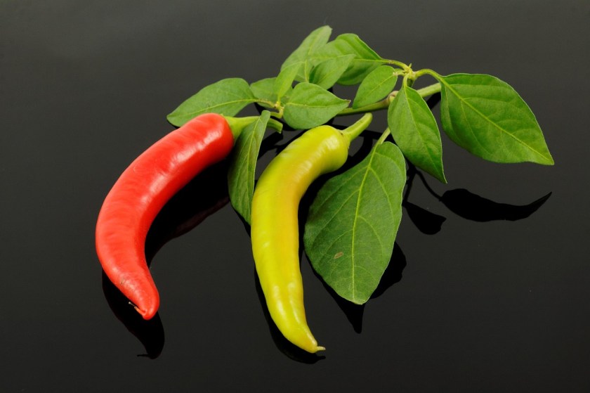 Punainen ja keltainen chili.