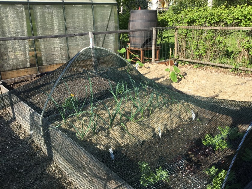 095A114F-4657-4432-8C3B-EECA6A40F8EB