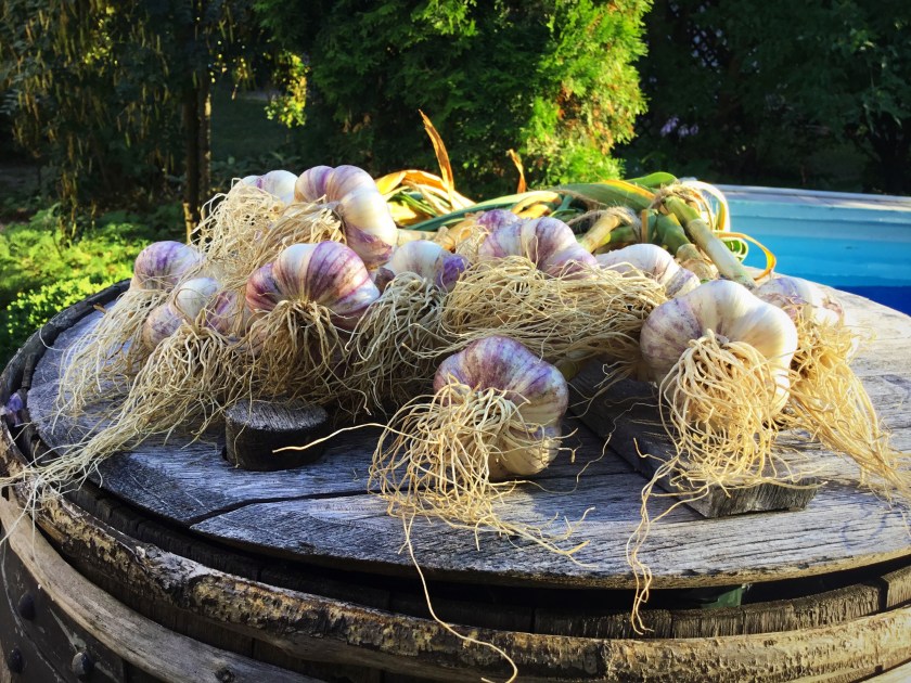 6FC09068-B086-4C89-988D-38D556A0F088