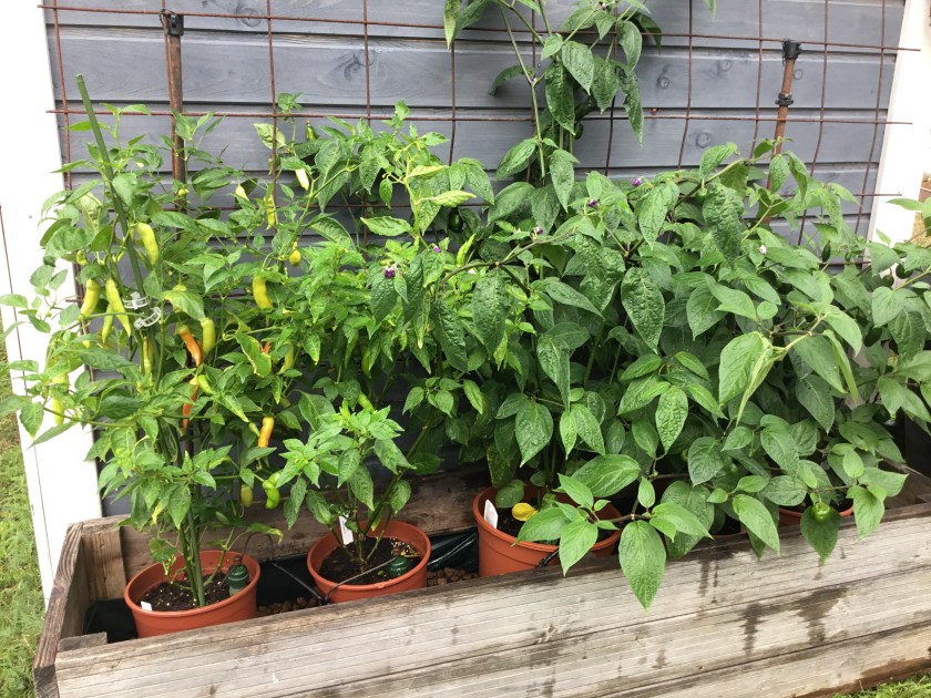 B2DA2A3D-EC02-4855-B5BE-250F3A27BE3F