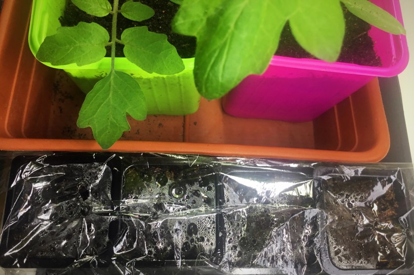 Täydellinen pettymys