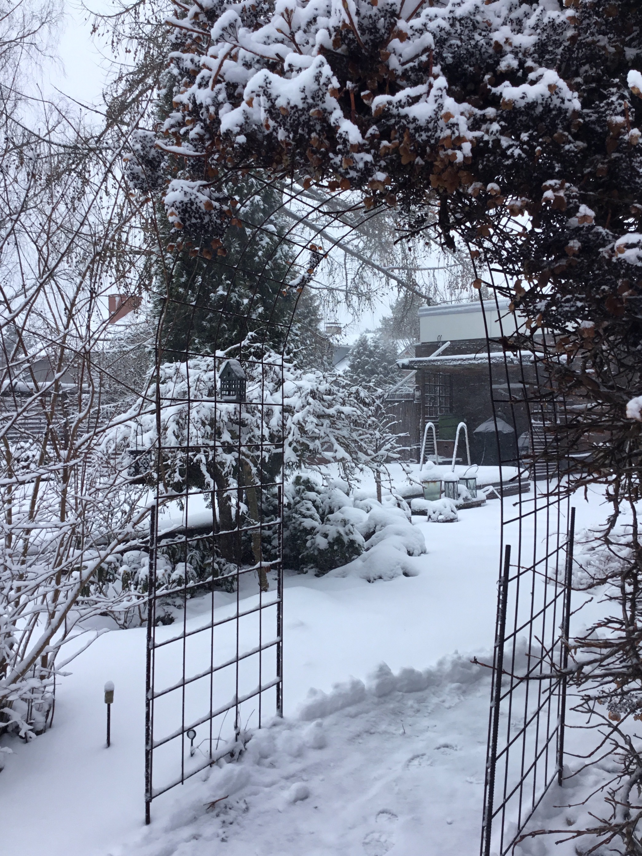 Betoniraudasta taivuteltu kaariportti puutarhassa.