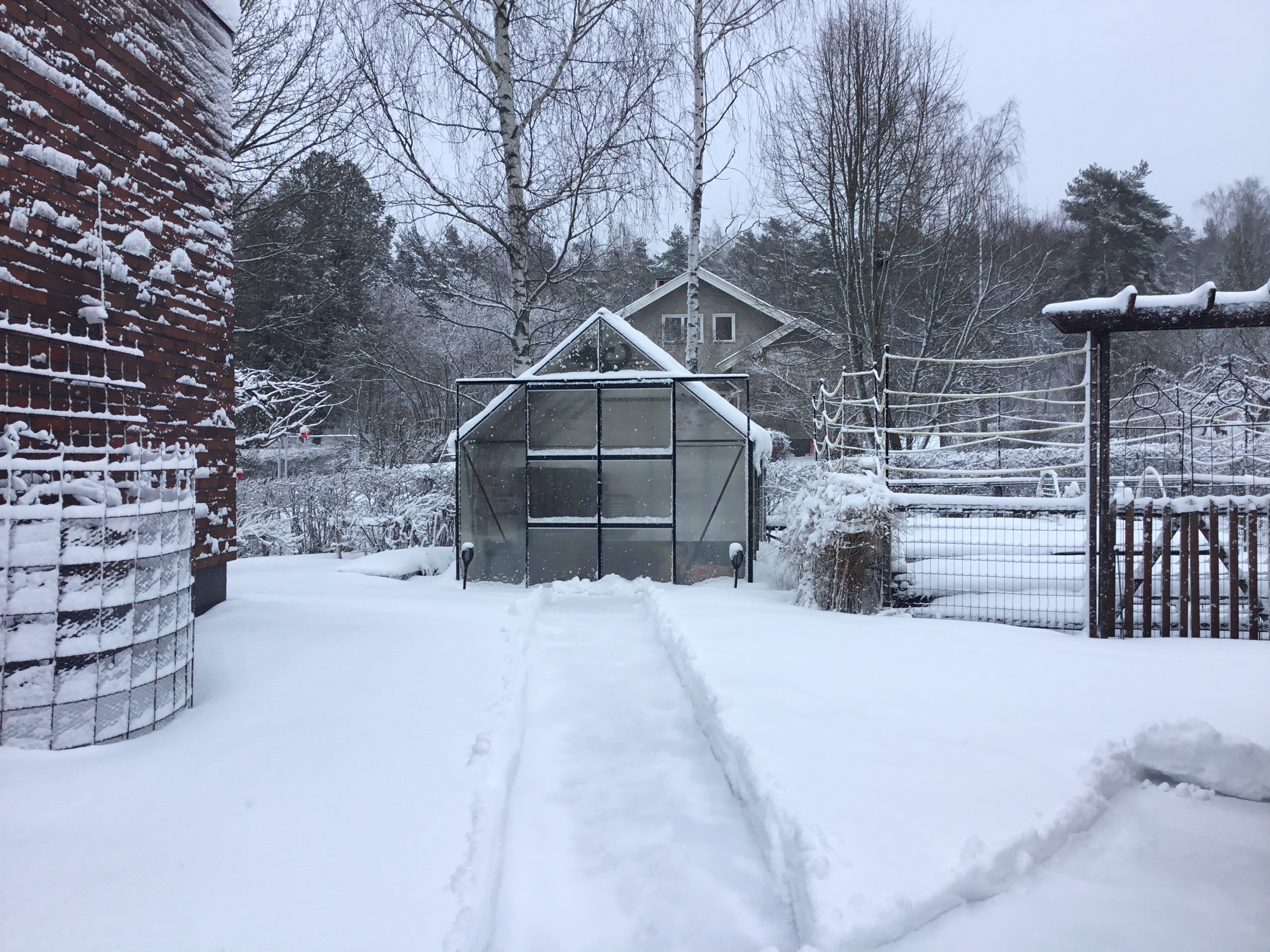 Kasvihuone lumisessa puutarhassa.