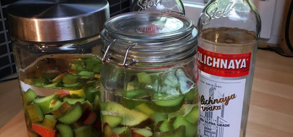 Raparperinpaloja vodkassa lasipurkeissa.