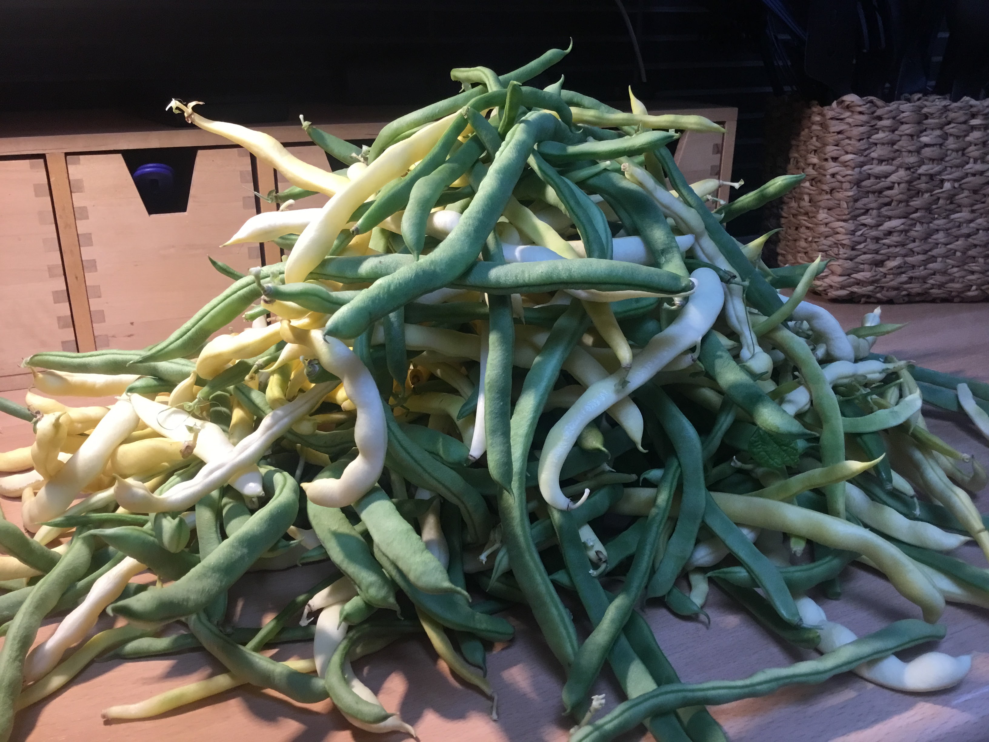 Keko vihreitä ja keltaisia salkopapuja.