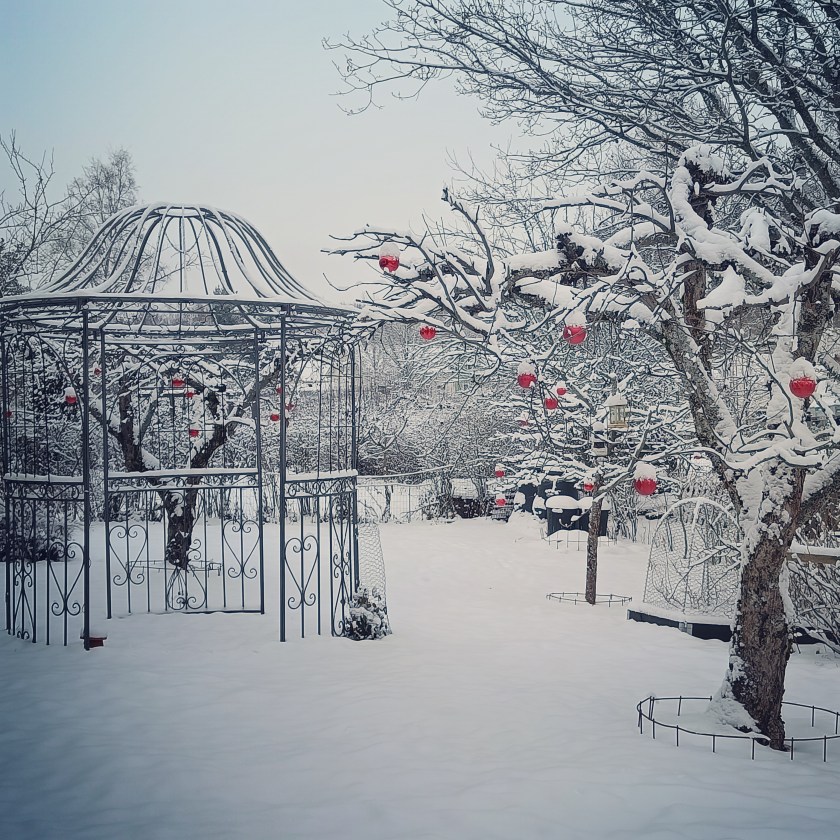 Metallinen puutarhapaviljonki lumisessa puutarhassa.