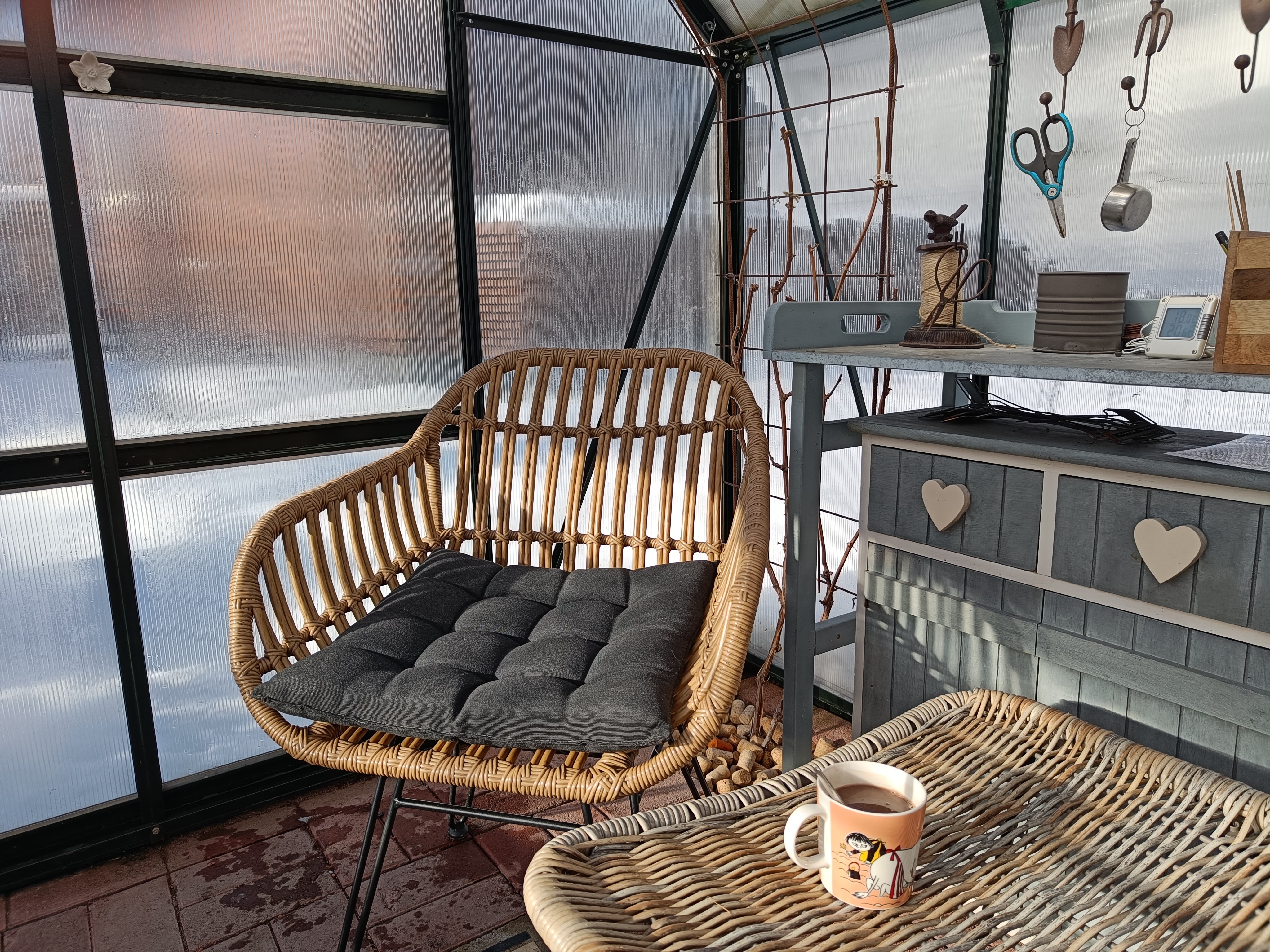 Tuoli ja kahvikuppi kasvihuoneessa kevättalvella.