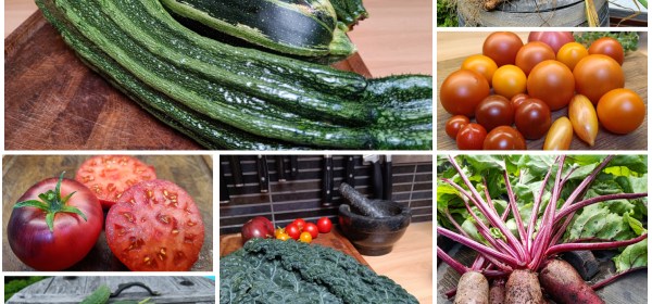 Kuvakooste kotipuutarhurin sadosta.