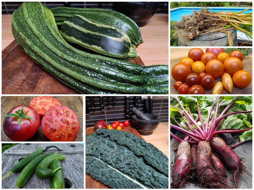 Kuvakooste kotipuutarhurin sadosta.