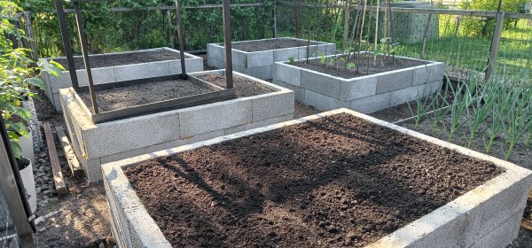 Viisi uutta, harkoista muurattua kasvimaan penkkiä. Kuudes penkki on vanha.