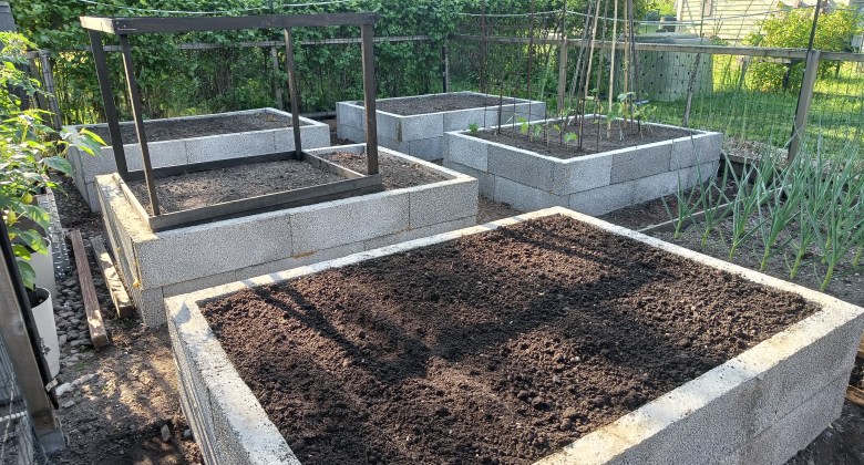 Viisi uutta, harkoista muurattua kasvimaan penkkiä. Kuudes penkki on vanha.