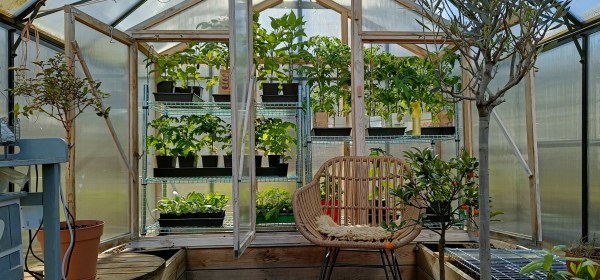 Pieni taimia varten oleva kasvihuone isomman kasvihuoneen sisällä.