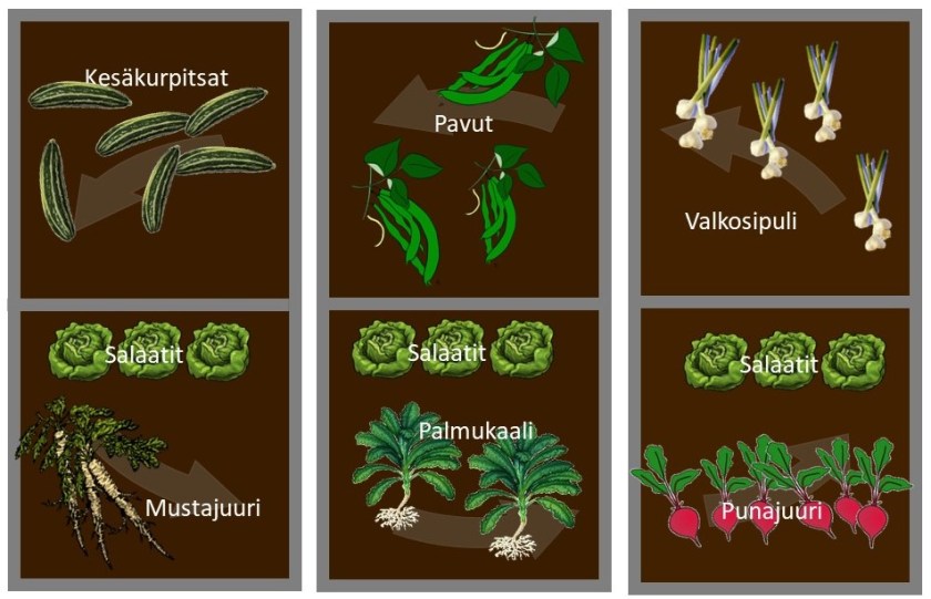 Kasvimaan viljelykartta, jossa kuvat kasvatukseen tulevista kasveista.