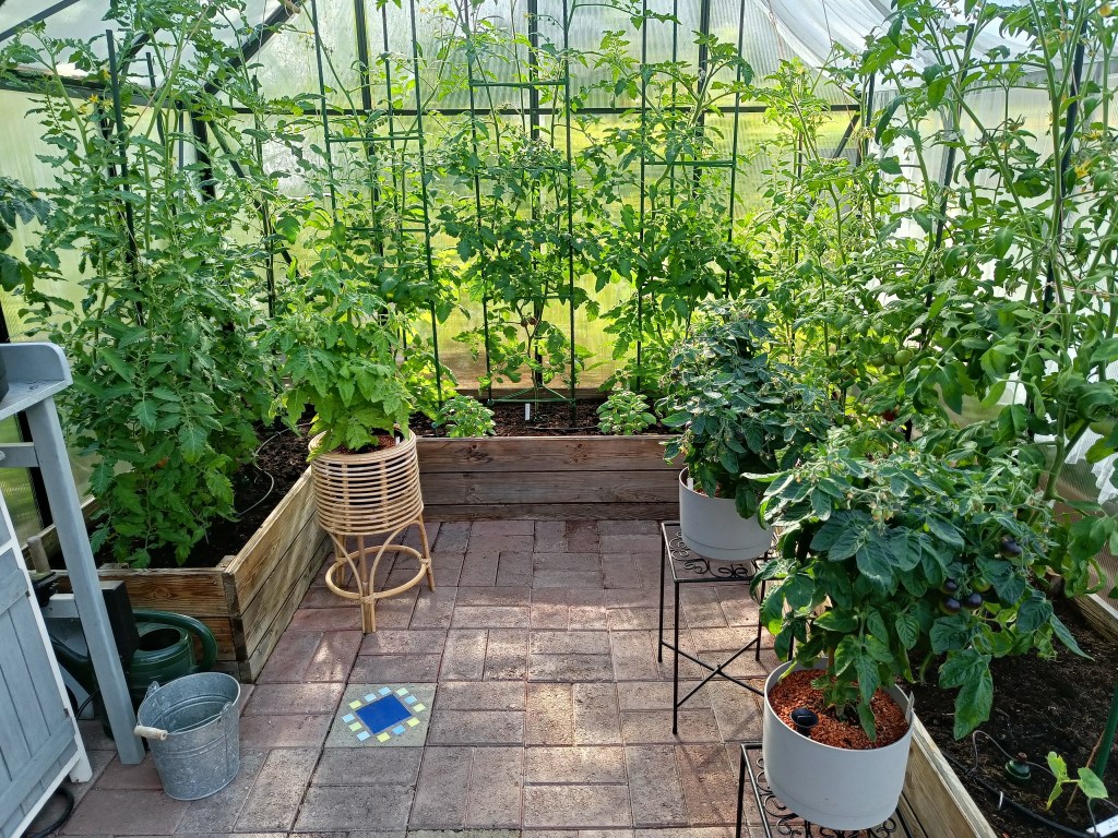 Sisäkuva omakotitalon kasvihuoneesta.