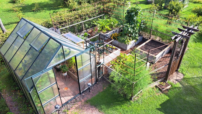 Ylhäältä otettu kuva omakotitalon puutarhan kasvihuoneesta ja kasvimaasta.