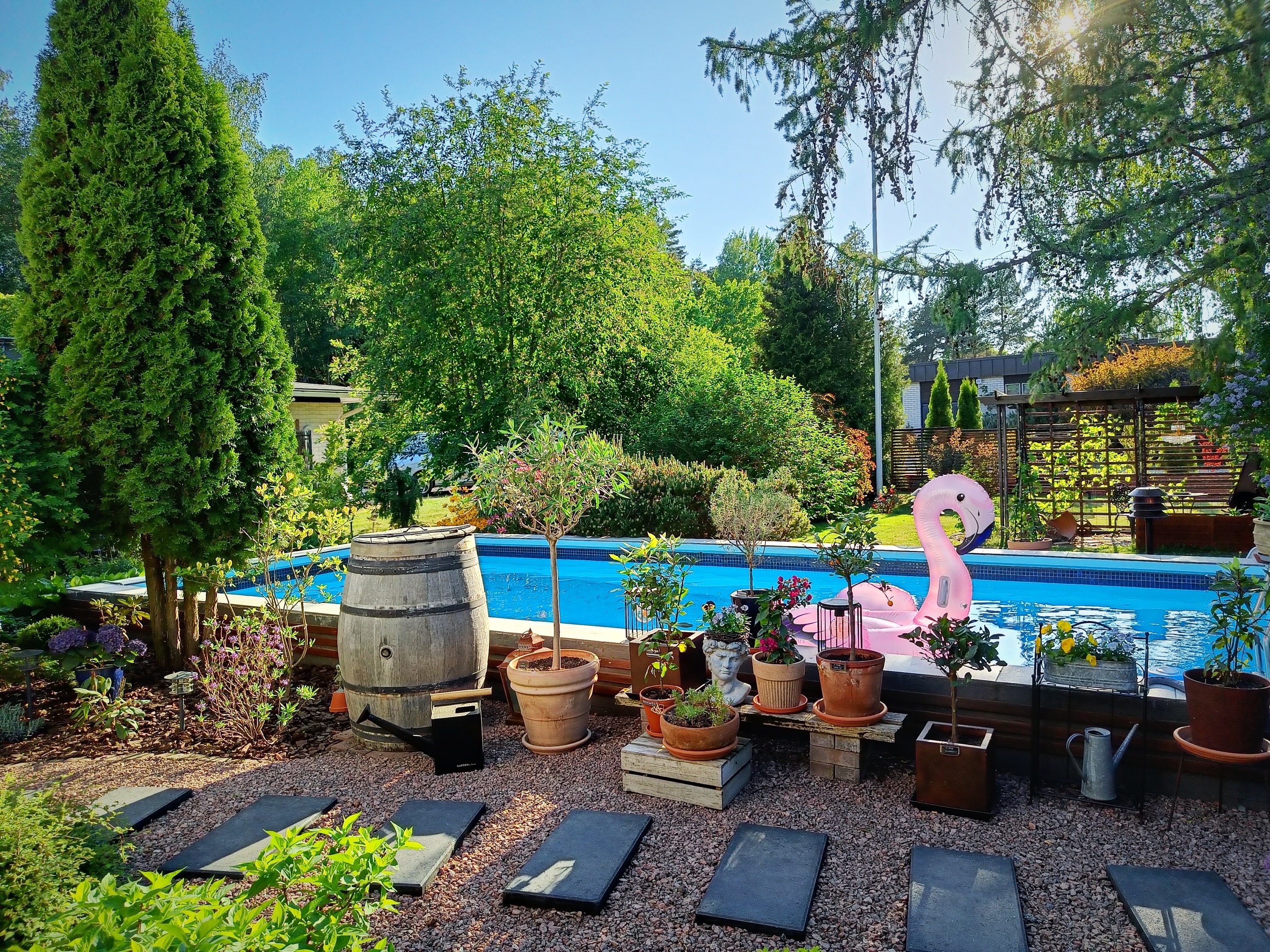 Omakotitalon pihalla oleva uima-allas, jossa vaaleanpunainen puhallettava flamingo.