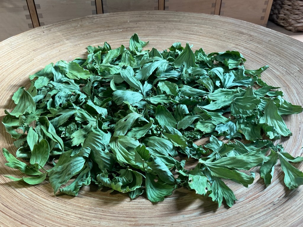 Lipstikan kuivattuja lehtiä vadilla.