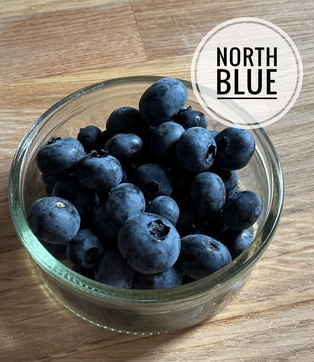 North Blue -pensasmustikan marjoja kulhossa.
