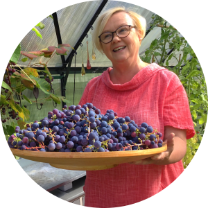 Puutarhuri rypälevati käsisisään.